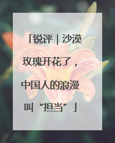 锐评｜沙漠玫瑰开花了，中国人的浪漫叫“担当”